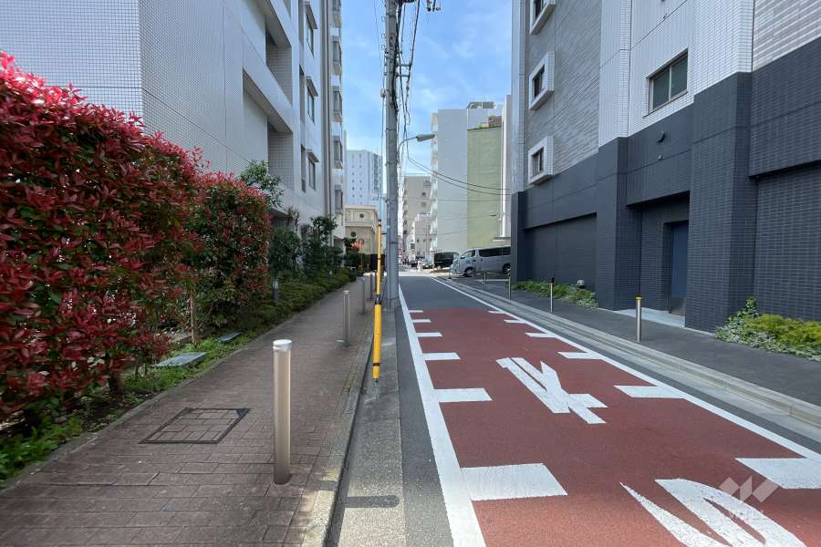 敷地西側の前面道路（北西側から）