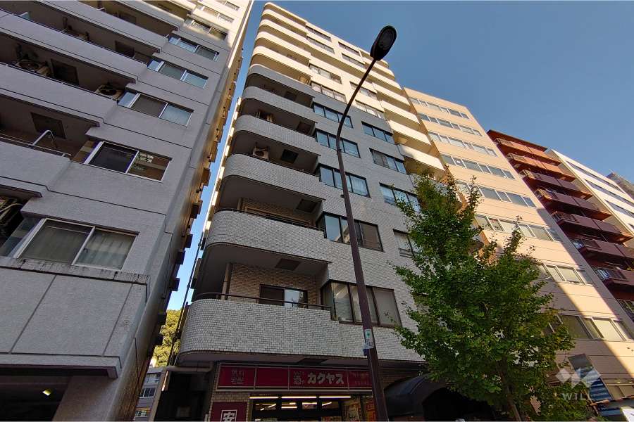 セブンスターマンション島津山の外観（南西側から）