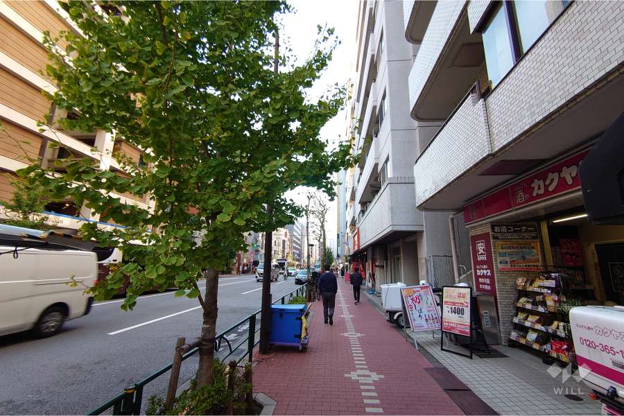 敷地南西側の前面道路（南東側から）