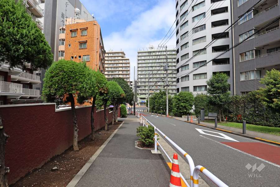 敷地東側の前面道路（南側から）