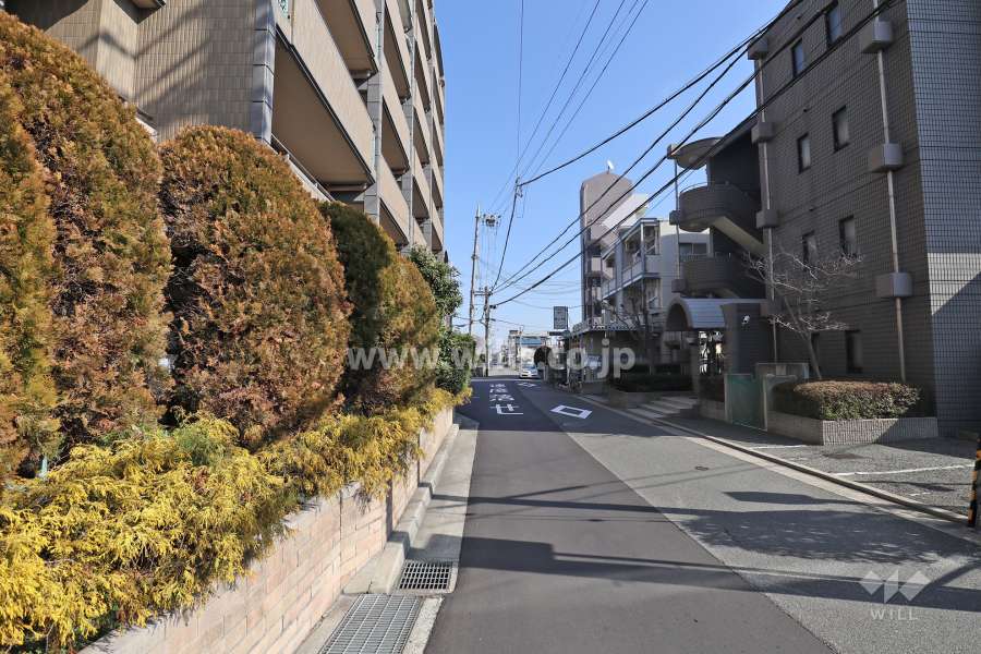 南側前面道路（西側から）