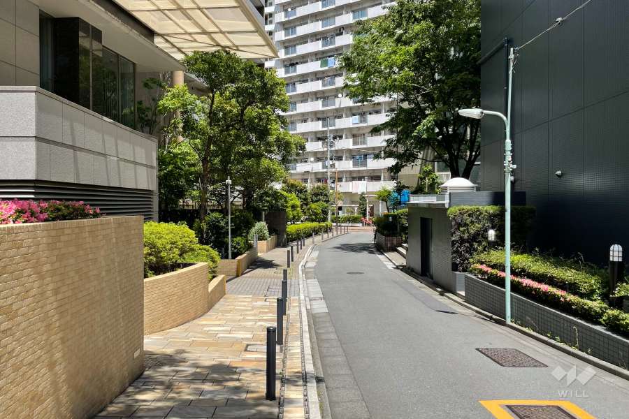 敷地の東側前面道路（南側から）