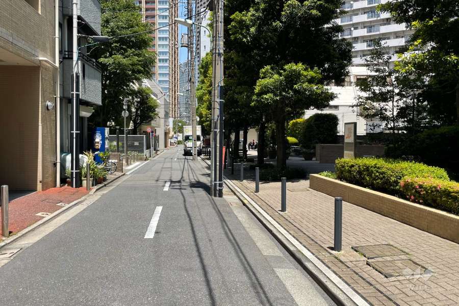 敷地の西側前面道路（南側から）