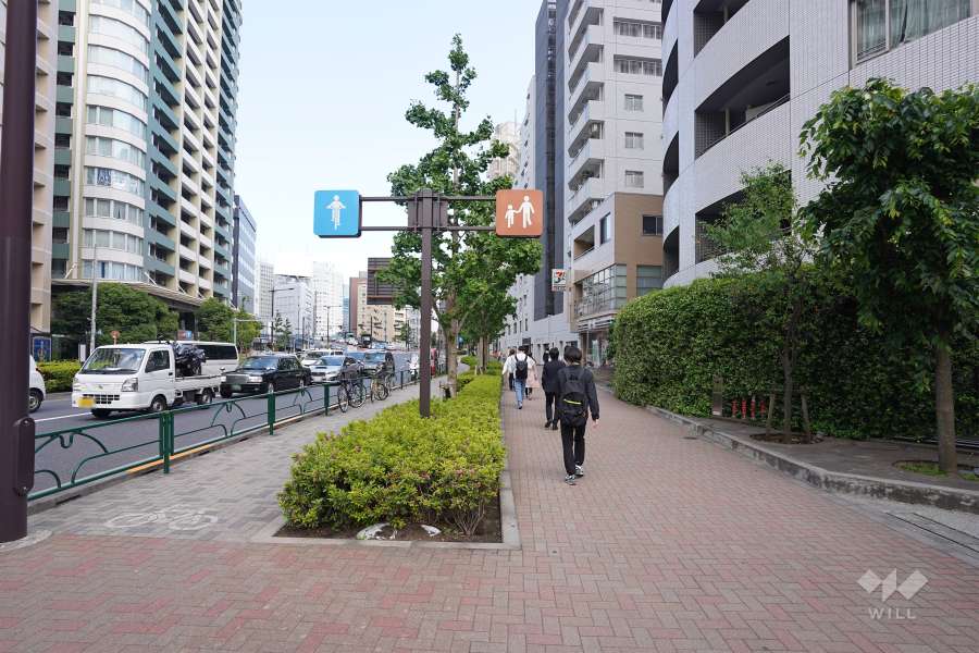 敷地北東側の前面道路　