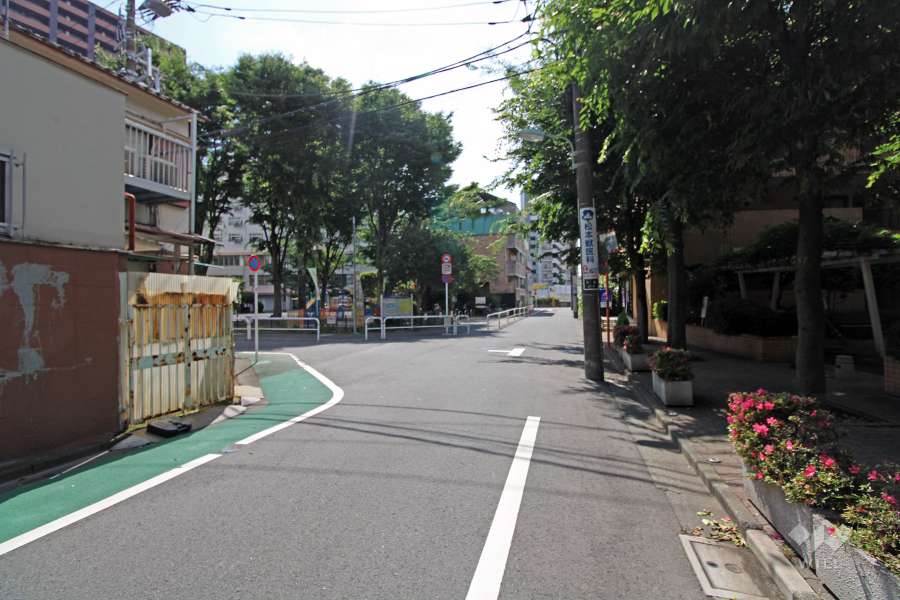 敷地前面道路沿いの南東側には『平塚中央公園』があります。