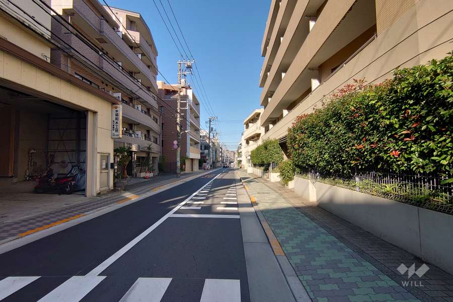 敷地の南側前面道路（東側から）