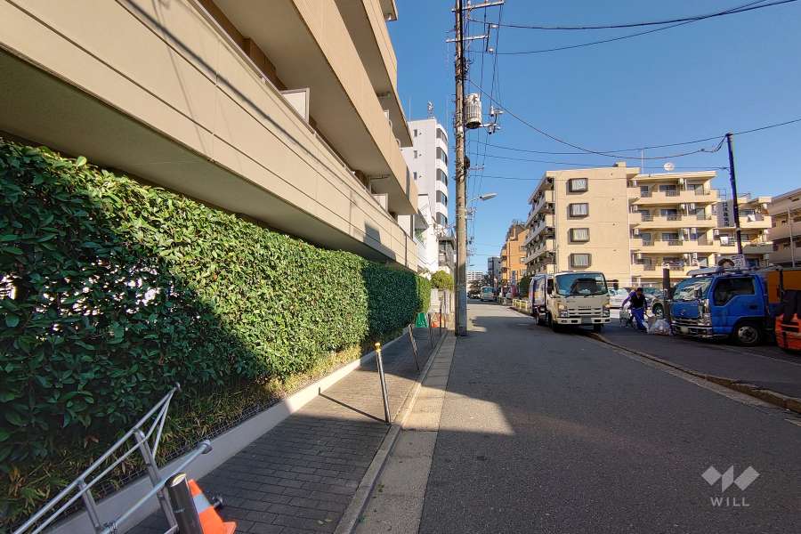 敷地の東側前面道路（南側から）