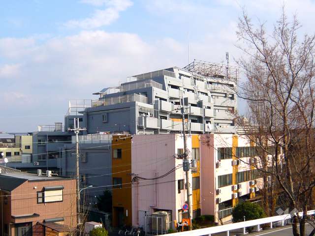 武庫之荘フレックスの遠景（武庫川の土手より）