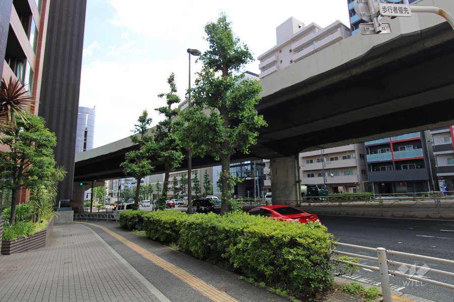 敷地南東側の前面道路（南西側から）