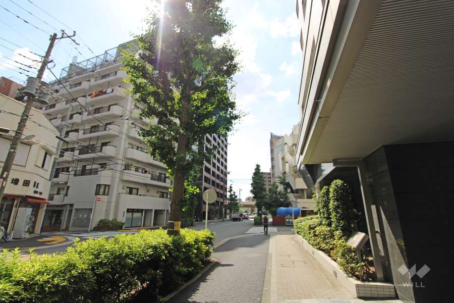 敷地北東側の前面道路（北西側から）