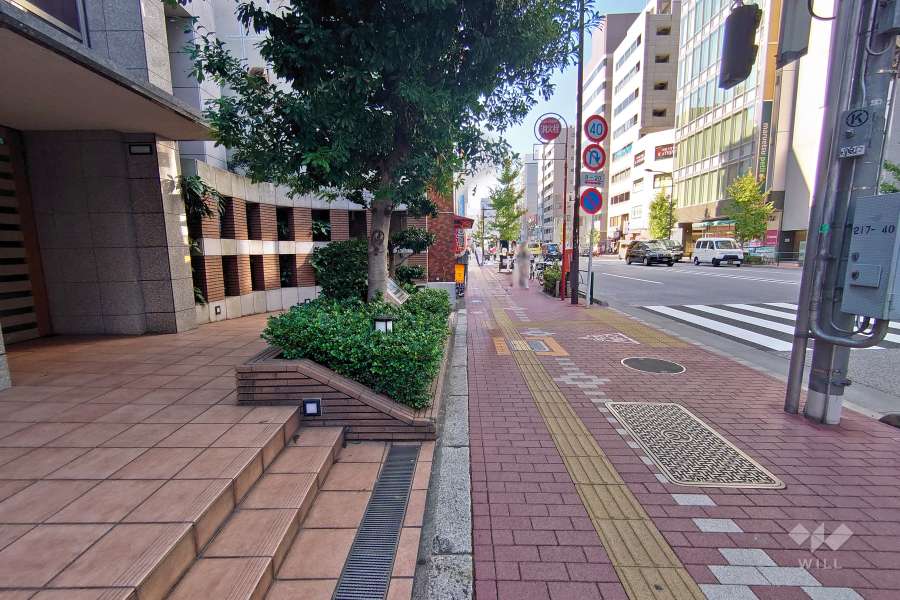 敷地北側は都道317号に面しています。