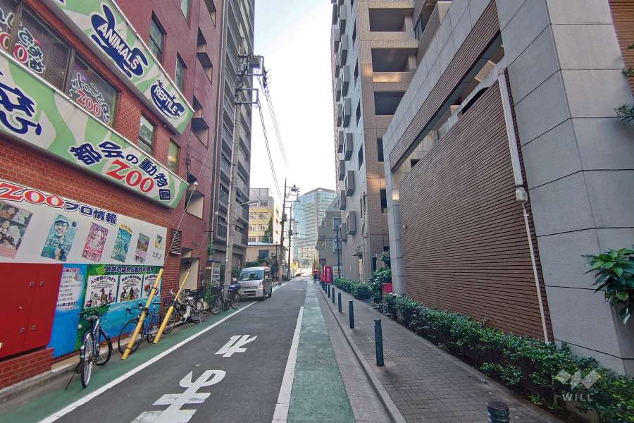 敷地東側の前面道路（北側から）