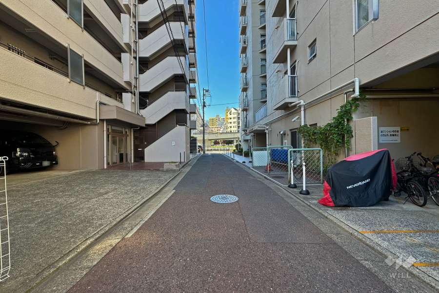 敷地北側の前面道路（東側から）