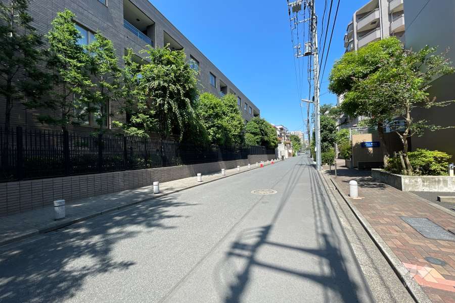 敷地南側の前面道路（西側から）