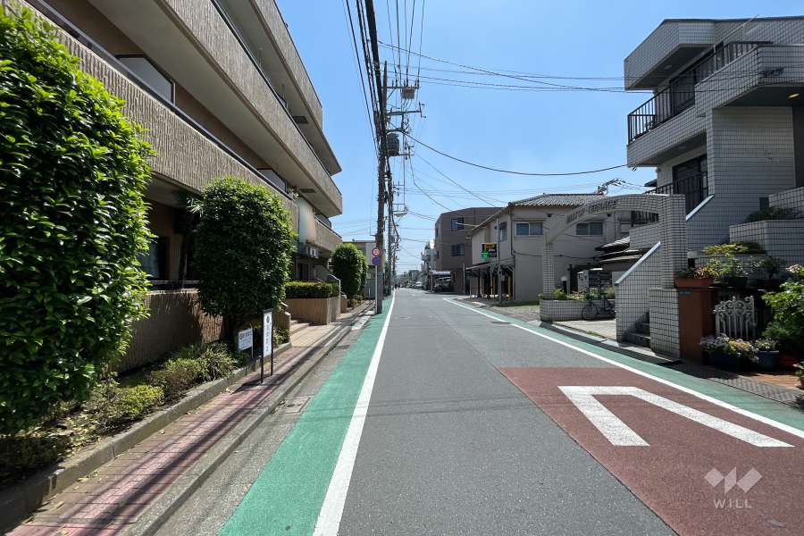 敷地西側の前面道路（北側から）