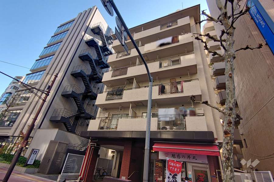 五反田サマリヤマンションの外観（北西側から）