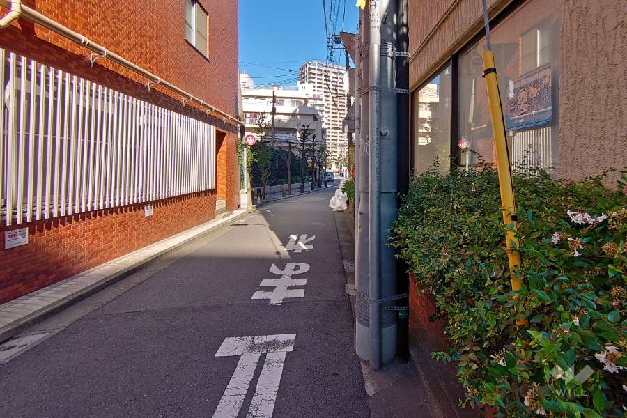 敷地北西側の前面道路（南西側から）