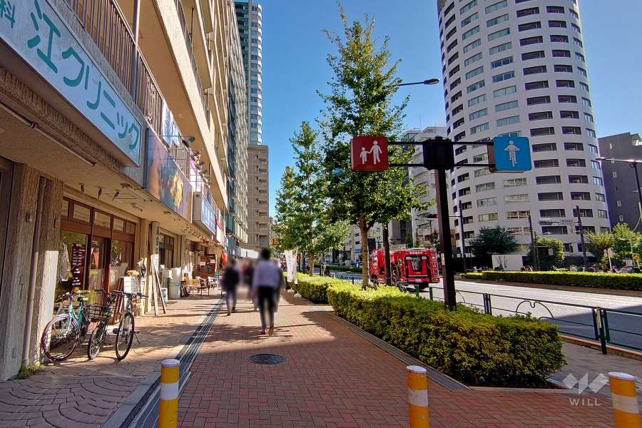 敷地南西側の前面道路（北西側から）