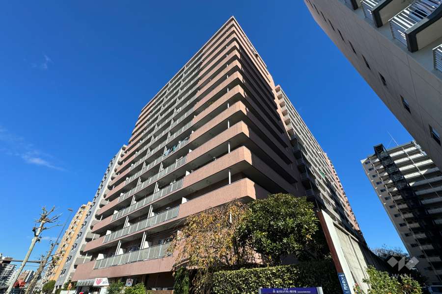 大森パークハイツの外観（南西側から）