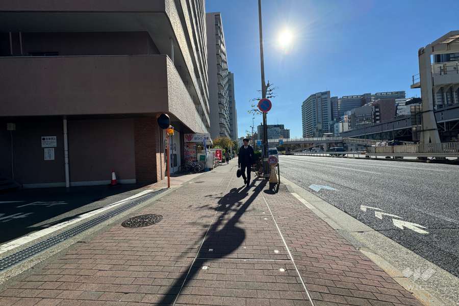 敷地西側の前面道路（北側から）