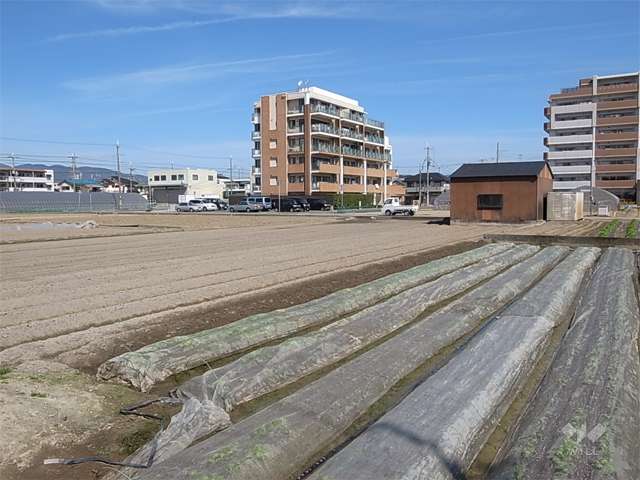 周辺は田畑が多い住宅地で、区画が整ってます。
