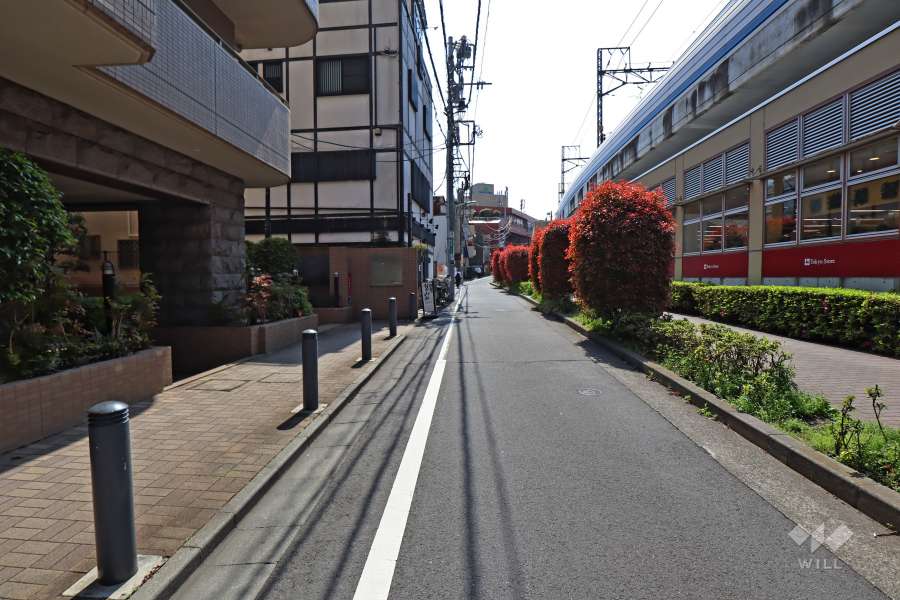 敷地西側の前面道路（北側から）