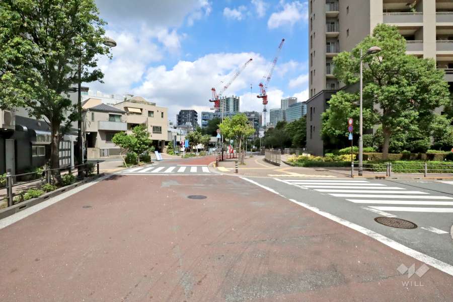 敷地西側の前面道路