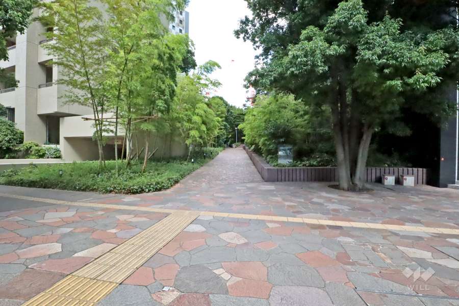 敷地東側の前面道路