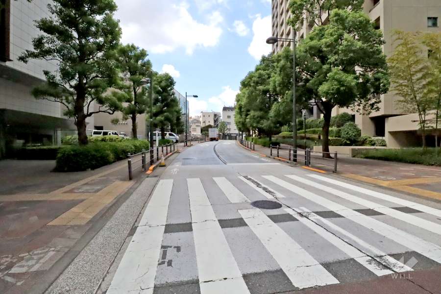 敷地南側の前面道路