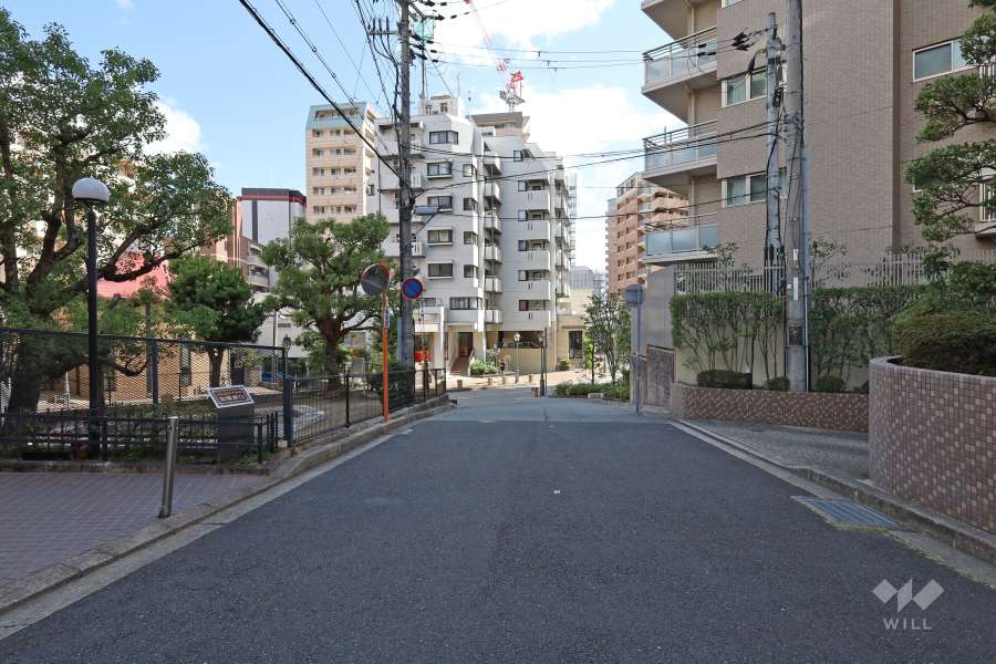 敷地南西側の前面道路（北西側から）