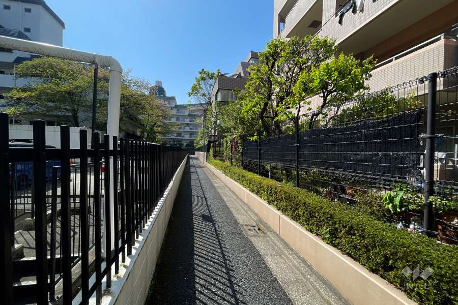 敷地南側の前面道路（東側から）