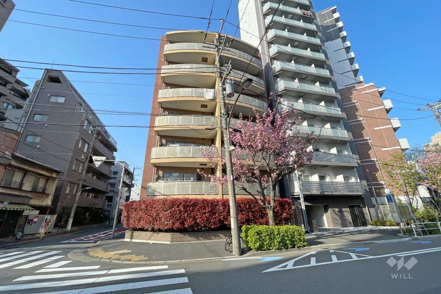 スターロワイヤル南大井の外観（南側から）