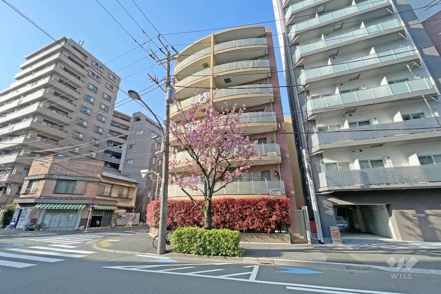 スターロワイヤル南大井の外観（南東側から）