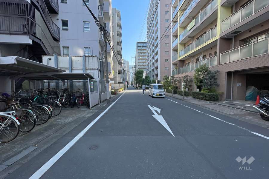 敷地西側の前面道路（北側から）