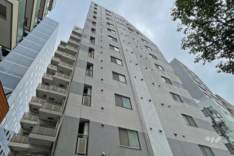 リシェ大井の外観（南西側から）