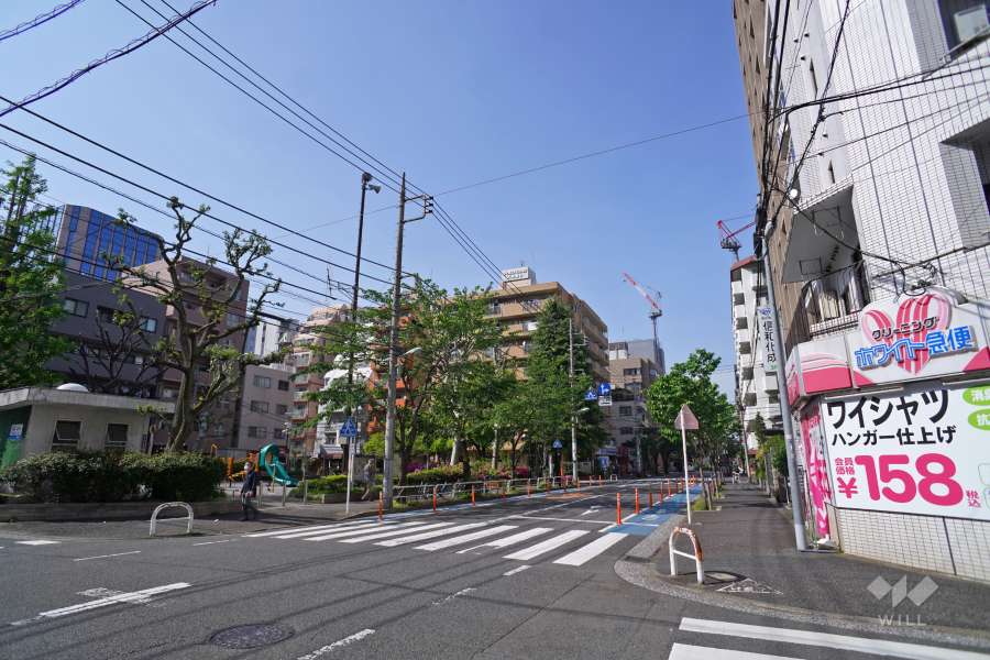 敷地西側の前面道路（南側から）