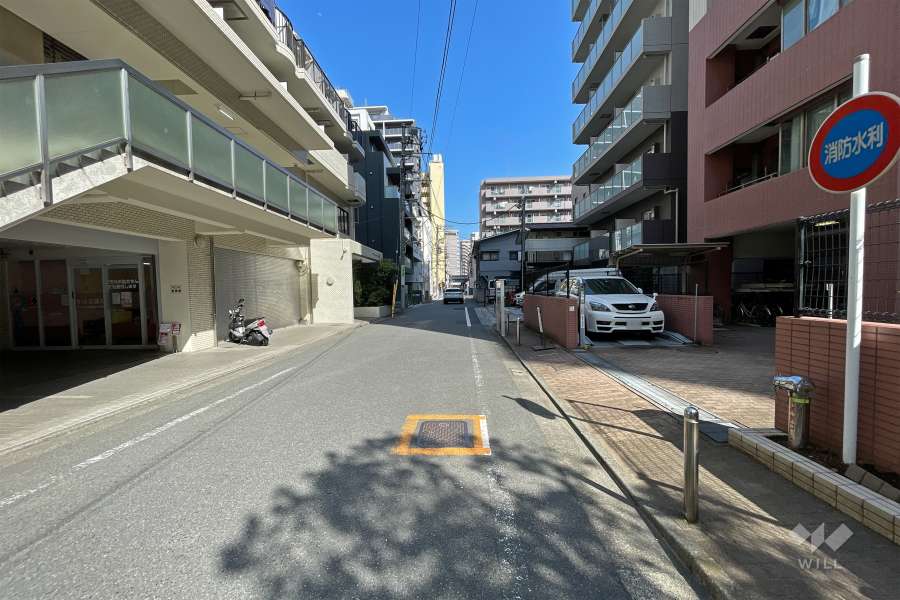 敷地北側の前面道路（西側から）