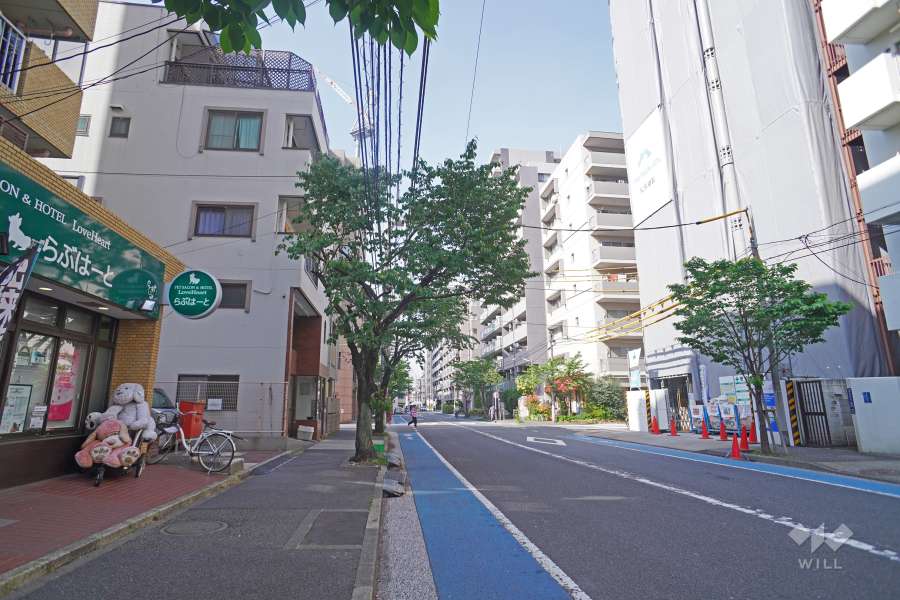 敷地南側の前面道路（西側から）