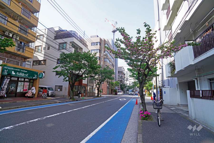 敷地西側の前面道路（南側から）