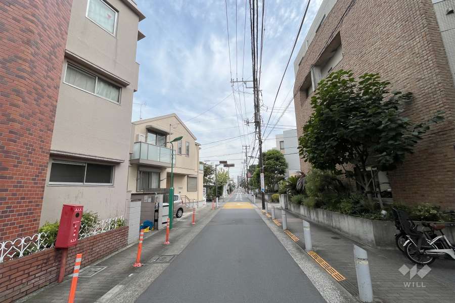 敷地東側の前面道路（北側から）