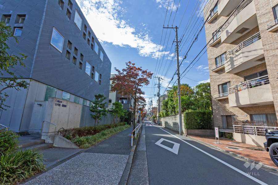 敷地南側の前面道路（東側から）