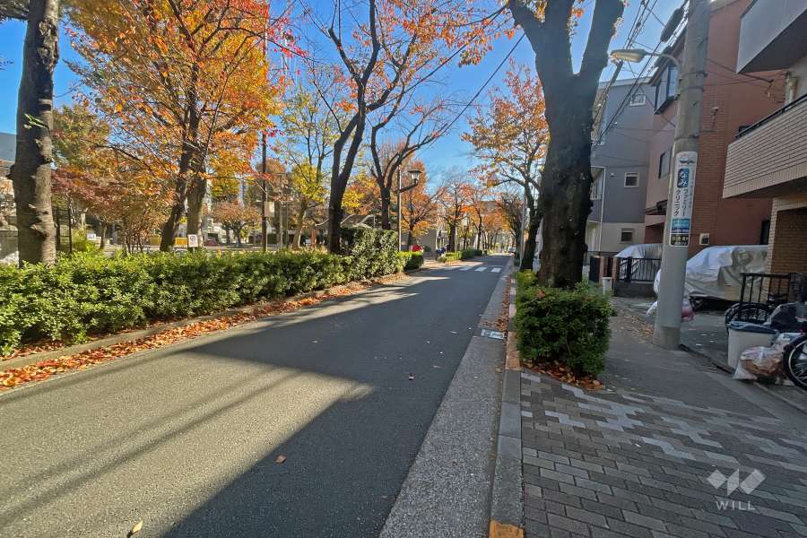 敷地の南側前面道路（東側から）