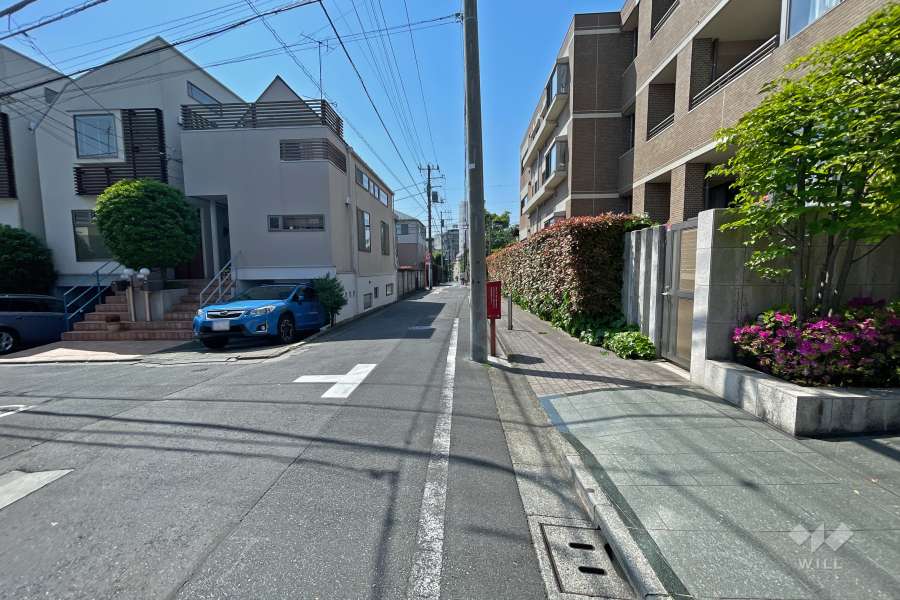 敷地東側の前面道路（北側から）