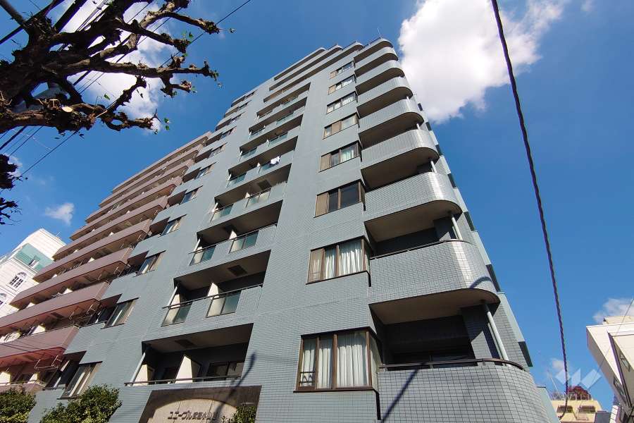 ユニーブル武蔵小山3の外観（南側から）