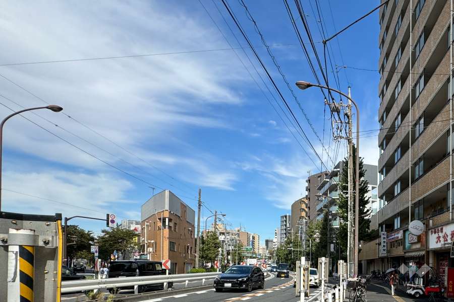 敷地西側の前面道路（南側から）