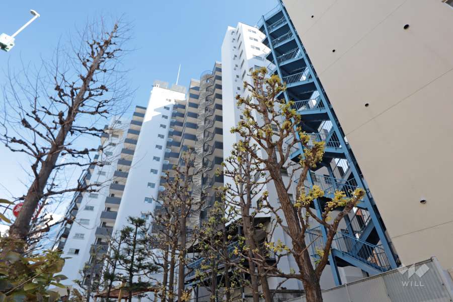 新池田山マンションの外観(南西側から)