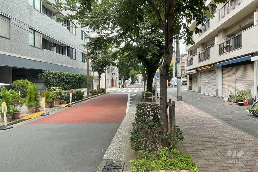 敷地西側の前面道路