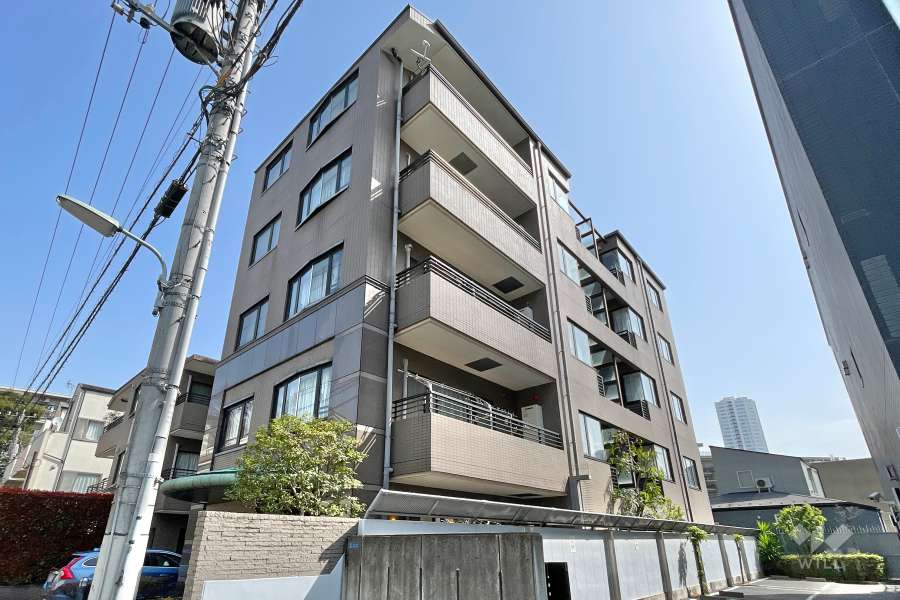 朝日エンブレム白金南の外観（南側から）