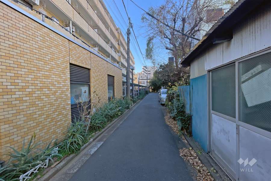 敷地の東側前面道路（南側から）