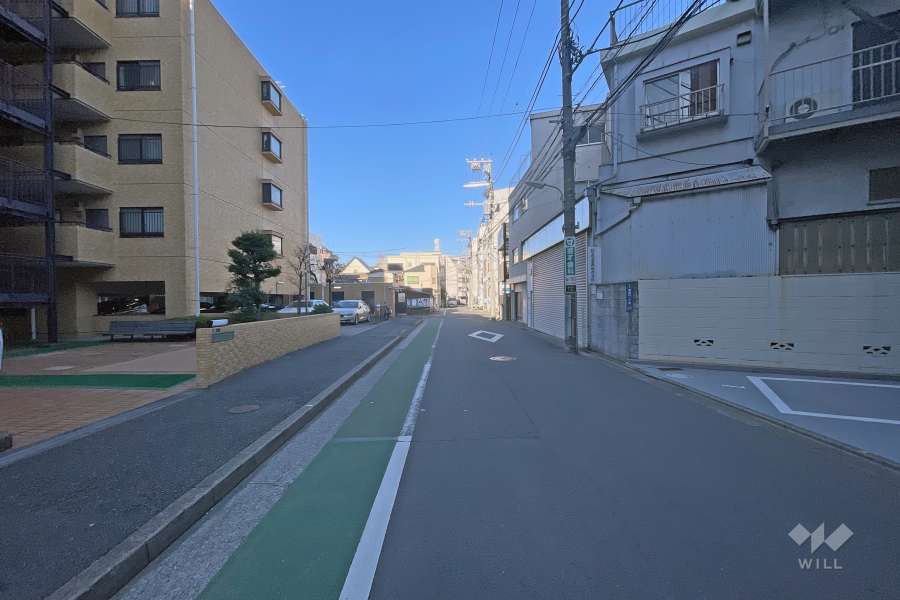 敷地の南側前面道路（西側から）